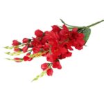 Bukiet 5 czerwonych Gladioli o Wysokości 60 cm - obrazek 3