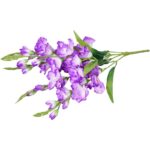 Bukiet 5 Fioletowych Gladioli o Wysokości 60 cm - obrazek 3