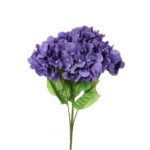 Bukiet 5 hortensji w kolorze fioletowym
