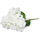 Bukiet 4 hortensji w kolorze białym - obrazek 2