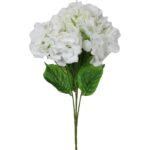 Bukiet 4 hortensji w kolorze białym