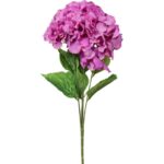 Bukiet 4 hortensji w kolorze bordowym - obrazek 2