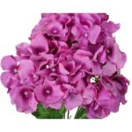 Bukiet 4 hortensji w kolorze bordowym - obrazek 3