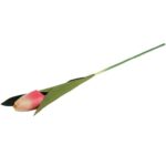 TULIPAN 45 CM kremowo różowy - obrazek 3