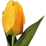 TULIPAN 45 CM żóty