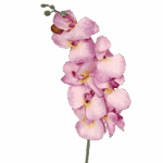 STORCZYK GAŁĄZKA 90 cm KOLOR JASNO RÓŻOWY