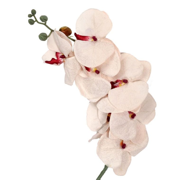 DYZ-010-2KREM STORCZYK GAŁĄZKA 90 cm KOLOR KREMOWY - obrazek 1