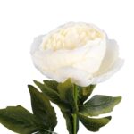 Sztuczna Gałązka piwonia w kolorze białym - Dekoracja o Wysokości 64 cm - obrazek 2