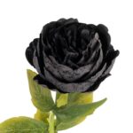 Sztuczna Gałązka piwonia w kolorze czarnym - Dekoracja o Wysokości 64 cm - obrazek 2