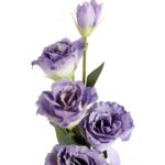 Eustoma Fioletowa - Gałązka Dekoracyjna z 6 Kwiatami o Realistycznym Wyglądzie - obrazek 2