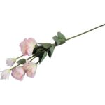 Eustoma - Kompozycja 6 Jasnoróżowych Kwiatów o Wysokości 80 cm - obrazek 3