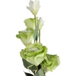 Zielona Gałązka Eustoma z 6 Kwiatami - Dekoracja Naturalnej Urody - obrazek 2