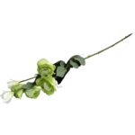 Zielona Gałązka Eustoma z 6 Kwiatami - Dekoracja Naturalnej Urody - obrazek 3