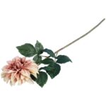 Dalia DUŻY kwiat pojedynczy BRĄZOWA 74 cm - obrazek 3