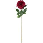 Daliia DUŻY kwiat pojedynczy BORDOWA 74 cm - obrazek 2