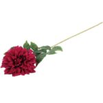 Daliia DUŻY kwiat pojedynczy BORDOWA 74 cm - obrazek 3