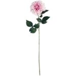 Daliia DUŻY kwiat pojedynczy JASNY RÓŻ 74 cm - obrazek 2