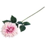 Daliia DUŻY kwiat pojedynczy JASNY RÓŻ 74 cm - obrazek 3