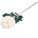 Daliia DUŻY kwiat pojedynczy KREMOWA 74 cm - obrazek 3