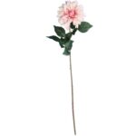 Dalia DUŻY kwiat pojedynczy ŁOSOSIOWY 74 cm - obrazek 2