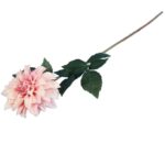 Dalia DUŻY kwiat pojedynczy ŁOSOSIOWY 74 cm - obrazek 3