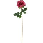 Daliia DUŻY  kwiat pojedynczy RÓŻOWA 74 cm - obrazek 2