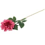 Daliia DUŻY  kwiat pojedynczy RÓŻOWA 74 cm - obrazek 3