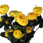 BUKIET KAMELII 35 CM KOLOR ŻÓŁTY - obrazek 2