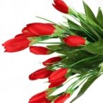 Sztuczny Bukiet 20 Czerwonych Krokusów - Realistyczne Kwiaty Dekoracyjne o Wysokości 35 cm - obrazek 3