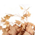 BLUSZCZ BUKIET 7 GAŁĄZEK 63 CM KOLOR BRĄZOWY - obrazek 2