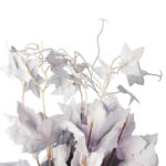 BLUSZCZ BUKIET 7 GAŁĄZEK 63 CM KOLOR SZARY - obrazek 2