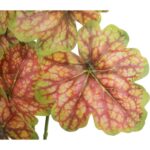 CALADIUM GAŁĄZKA LIŚCI OZDOBNYCH 82 CM KOLOR CZERWONY - obrazek 2