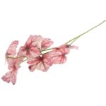 CALADIUM GAŁĄZKA LIŚCI OZDOBNYCH 82 CM KOLOR RÓŻOWY - obrazek 3