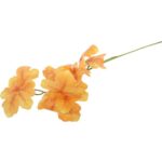 CALADIUM GAŁĄZKA LIŚCI OZDOBNYCH 82 CM KOLOR żółty - obrazek 3