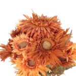 BUKIET 12 GERBER JESIENNYCH 48 CM KOLOR POMARAŃCZOWY - obrazek 2