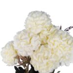 BUKIET 9 HORTENSJI JESIENNYCH 40 CM KOLOR BIAŁY - obrazek 2