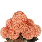 BUKIET 9 HORTENSJI JESIENNYCH 40 CM KOLOR POMARAŃCZOWY - obrazek 2