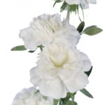 GAŁĄZKA 5 PIWONII 76 cm KOLOR BIAŁY - obrazek 2