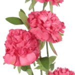 GAŁĄZKA 5 PIWONII 76 cm KOLOR RÓŻOWY - obrazek 2