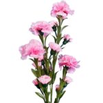 Sztuczna Gałązka Goździków w Kolorze Jasnoróżowym - 15 Kwiatów, Wysokość 86 cm - obrazek 2