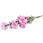 Sztuczna Gałązka Goździków w Kolorze Jasnoróżowym - 15 Kwiatów, Wysokość 86 cm - obrazek 3