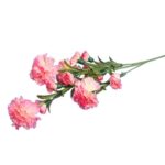 Sztuczna Gałązka Goździków w Kolorze Łososiowym - 15 Kwiatów, Wysokość 86 cm - obrazek 3