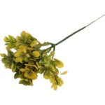 Bukszpan Dekoracyjny Żółto-Zielony Wygląd Naturalny 19 cm - obrazek 3