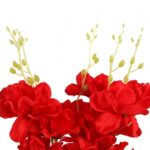 Bukiet 5 storczyków 58cm kolor czerwony - obrazek 2