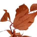 Gałązka Sztucznych Liści 95 cm kolor brązowy - obrazek 2