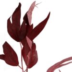 Sztuczny Liść Dekoracyjny, 95 cm, Kolor Bordowy - Wygląd Realistyczny - obrazek 2