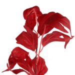 Czerwona Sztuczna Gałązka Liści 95cm - Dekoracja o Realistycznym Wyglądzie - obrazek 2