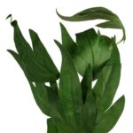 Gałązka Sztucznych Liści 95 cm kolor jasno zielony - obrazek 2