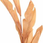 GAŁĄZKA LIŚCI OZDOBNYCH 112 CM KOLOR JASNO BRĄZOWY - obrazek 2