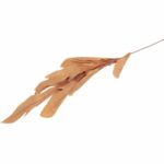 GAŁĄZKA LIŚCI OZDOBNYCH 112 CM KOLOR JASNO BRĄZOWY - obrazek 3